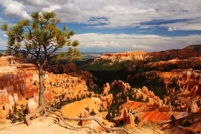 bryce canyon.jpg